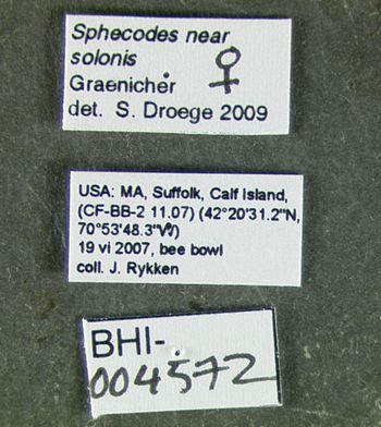Media type: image;   Entomology 609435 Aspect: labels